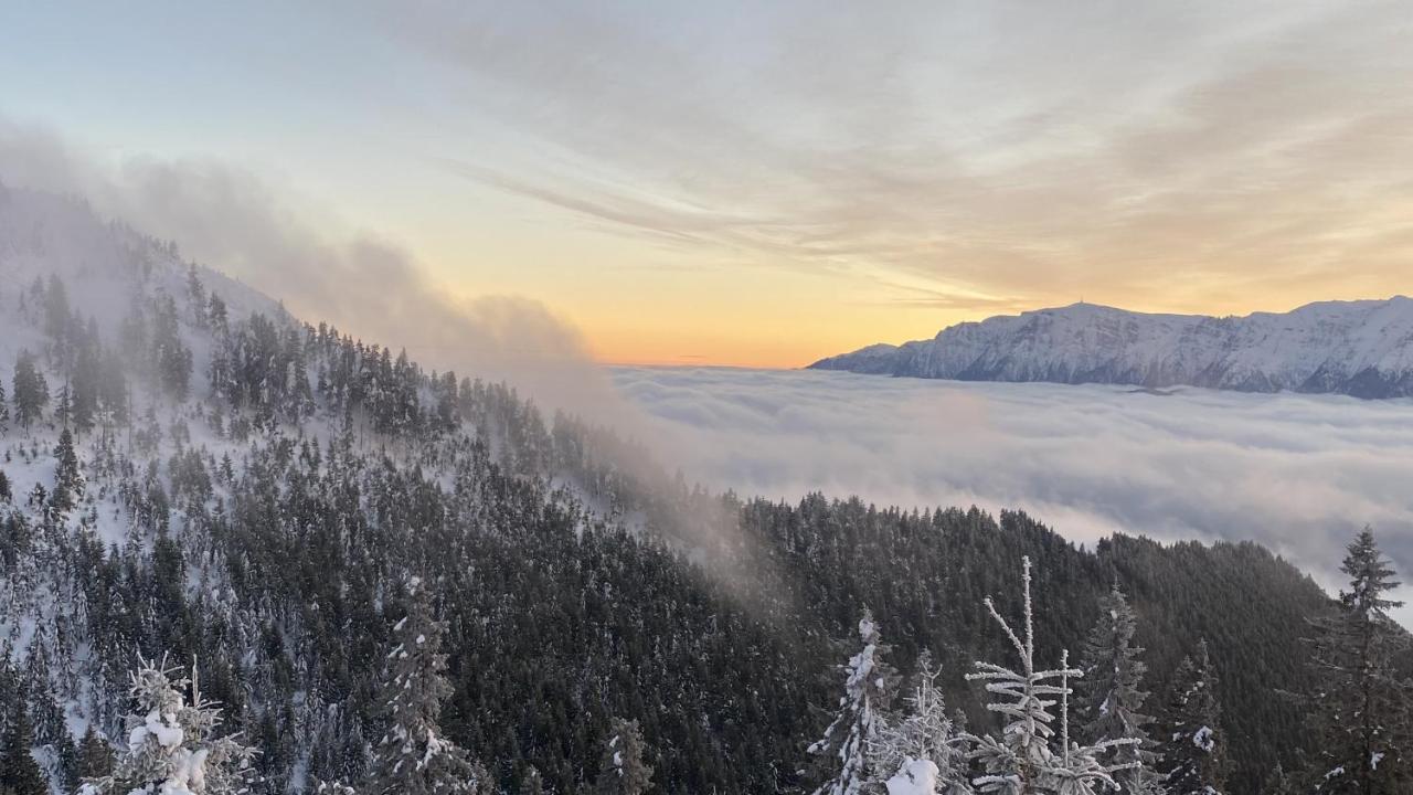 Yager Chalet Poiana Brașov Zewnętrze zdjęcie